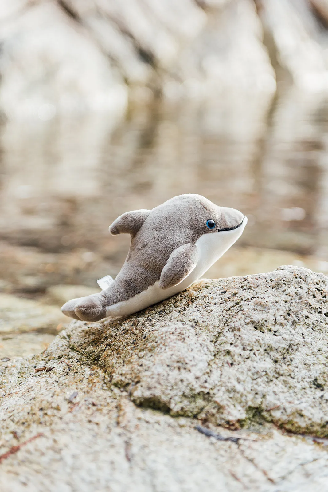 6" Canned Dolphin