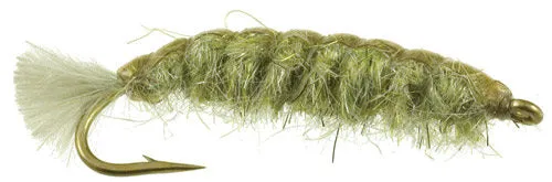 Barr's Cranefly Larva