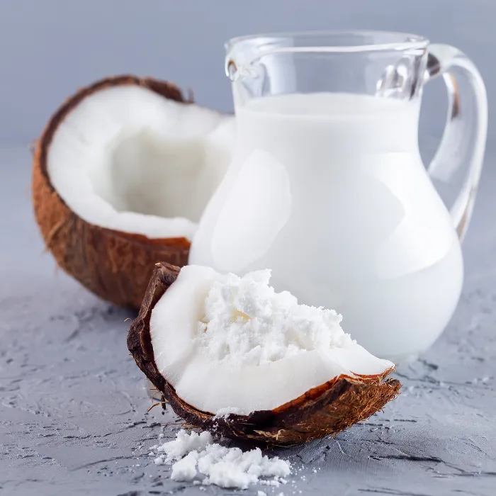 Coconut Milk Powder Organic Vegan